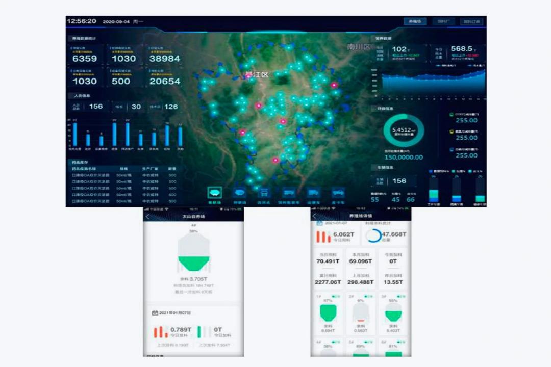 Integrating Cloud Computing Systems in Feed Ordering and Production Planning