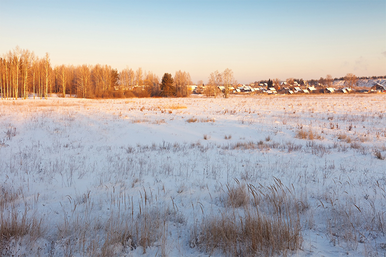 Farm in Cold & Dry Region