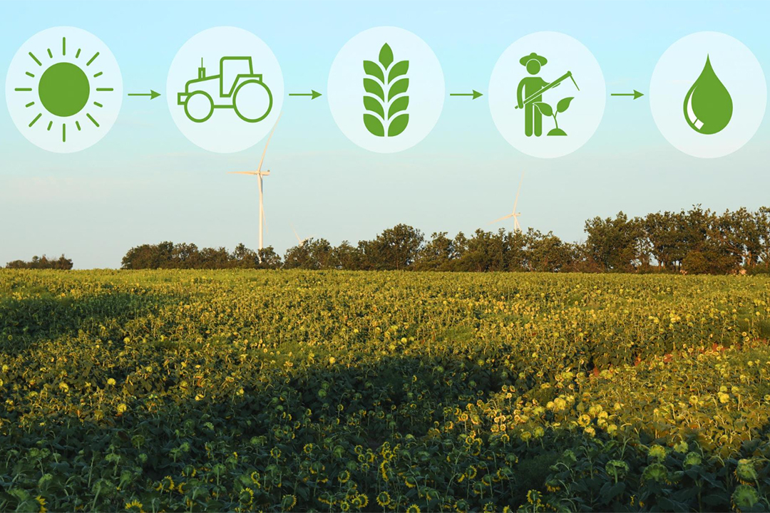 How Feed Management Systems Are Revolutionizing Agriculture