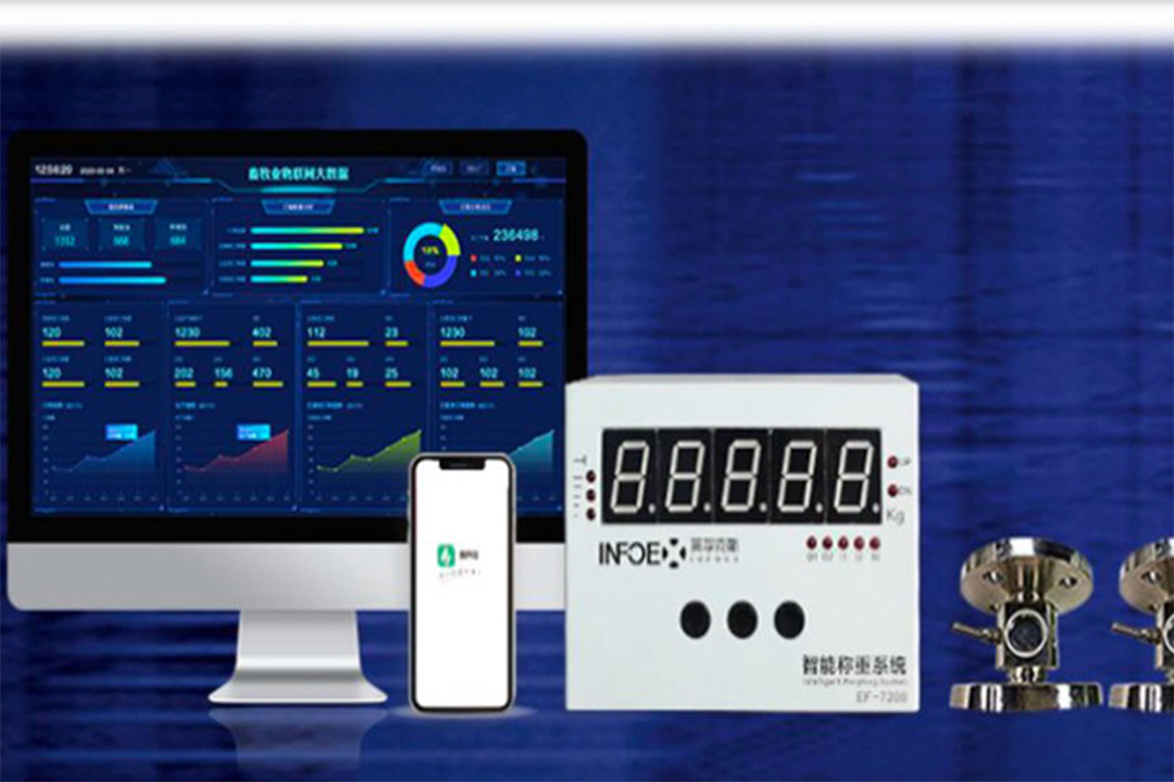 Main Components of the Witgood Silo Weighing System