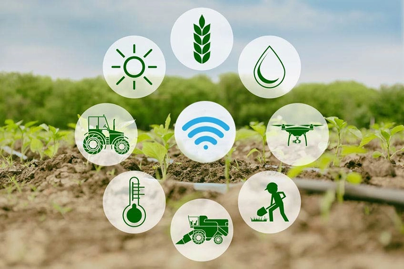 Cost-Benefit Analysis of IoT Weighing Machines in Smart Farm Management